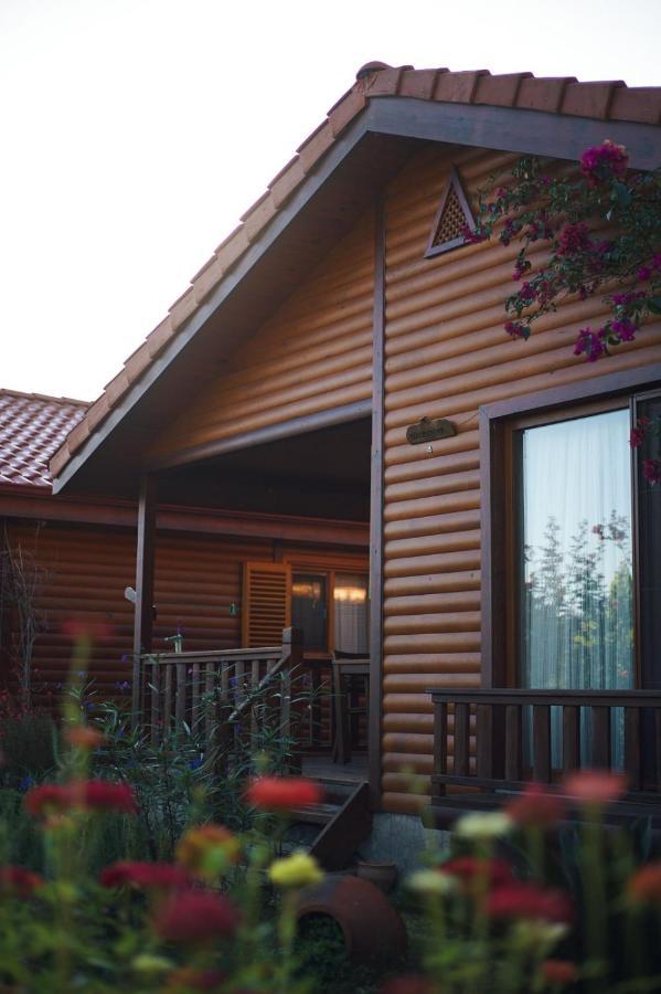 Leontopolis Apart Otel Çıralı エクステリア 写真